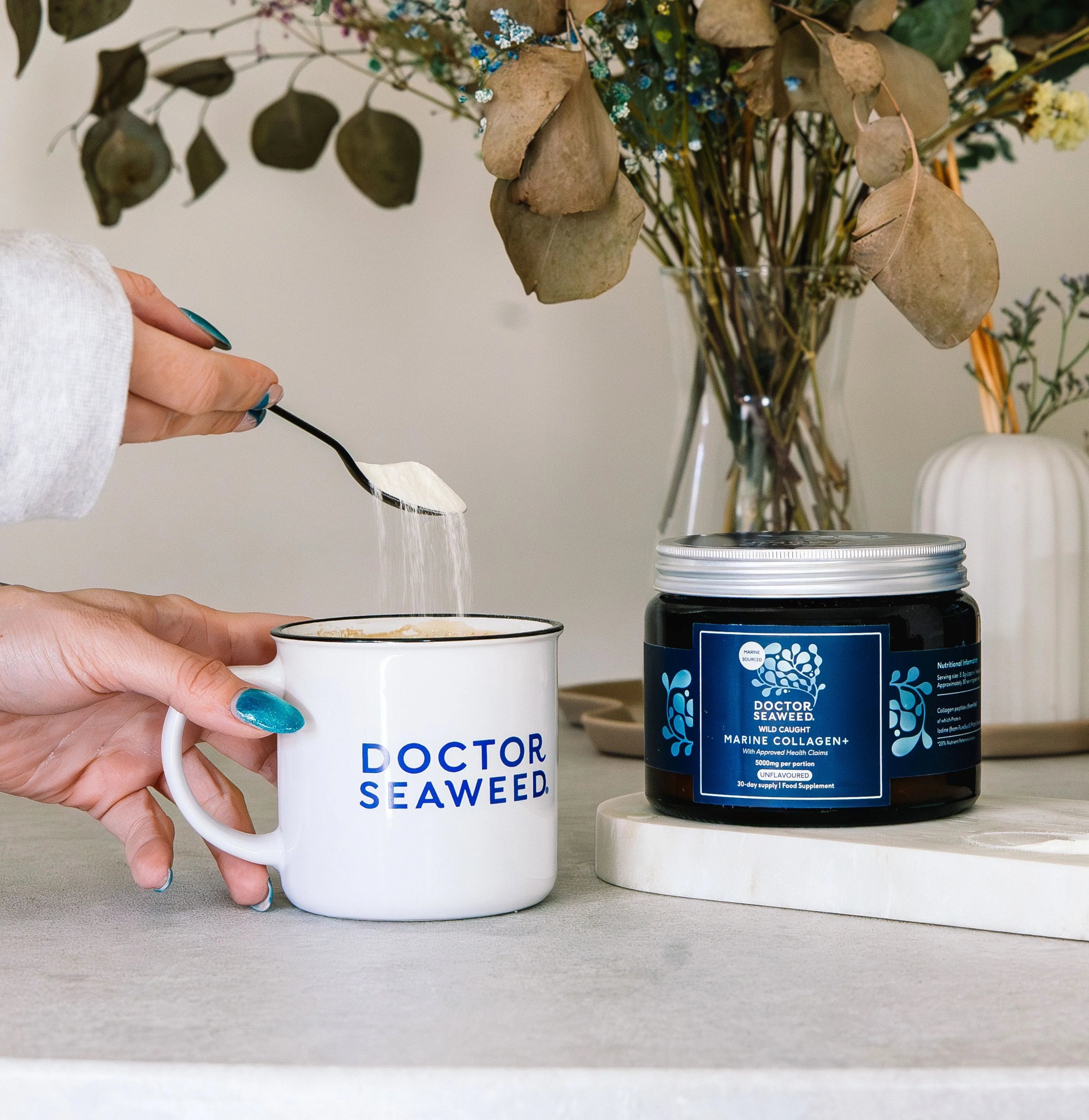 Collagen+ Beauty Support Formula | Doctor Seaweed