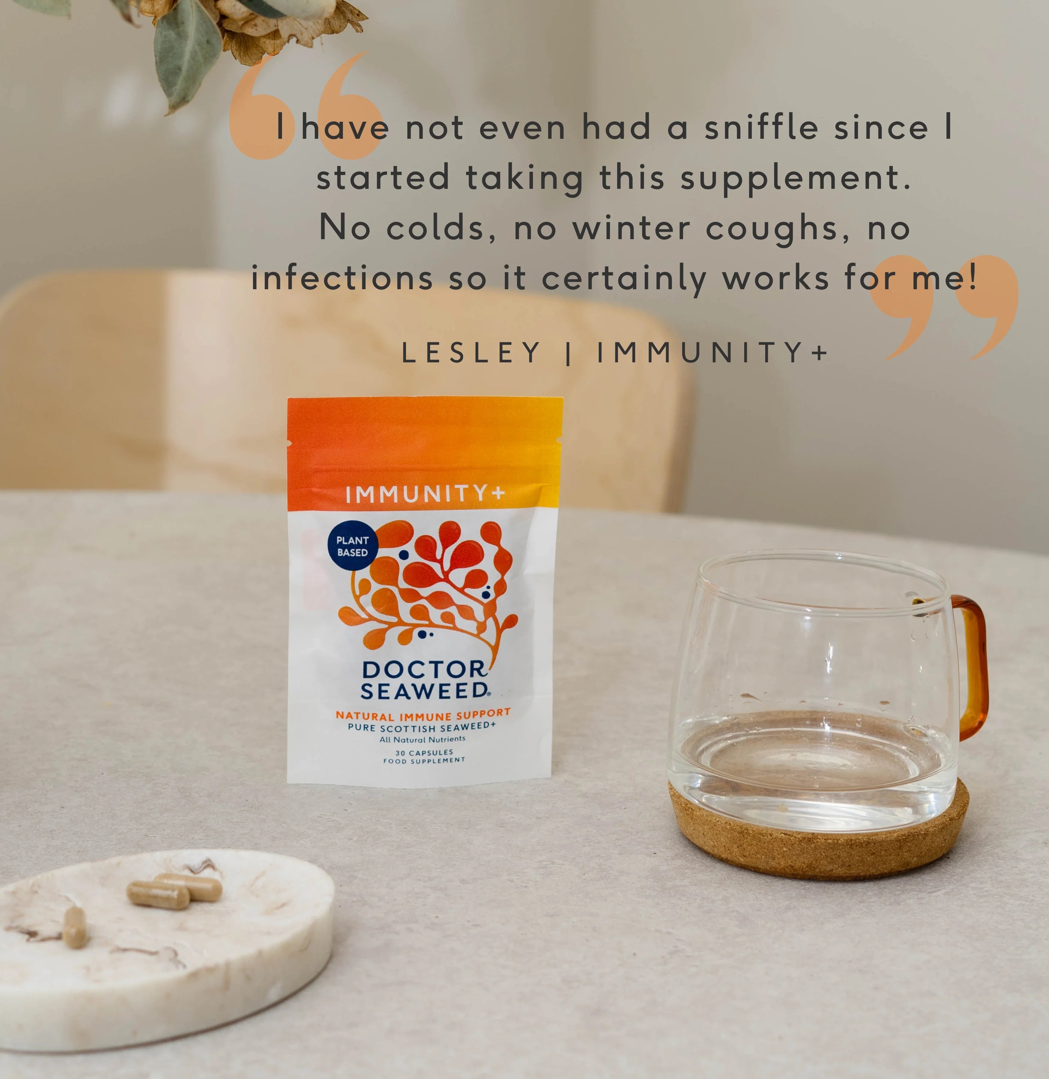 Immunity+ Wellness Support Blend | Doctor Seaweed