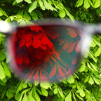 eso-world-blue-light-blocking-glasses_3