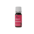 Aromantic | Geranium Essential Oil