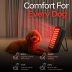 ThermoLab Aura™ Pro 300W Infrared LED Red Light Panel