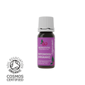 Organic Dark Patchouli Essential Oil | Aromantic